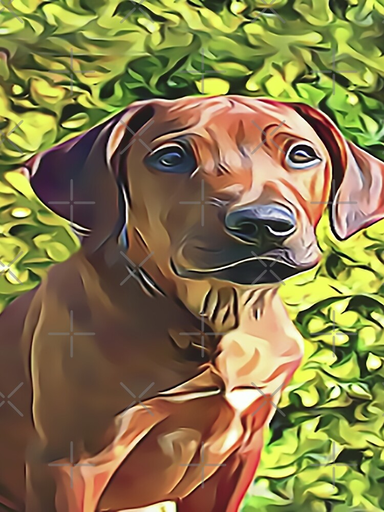 Aperçu 5 sur 5. Robe trapèze avec l'œuvre Chiot Rhodesian Ridgeback créée et vendue par Sunleil.