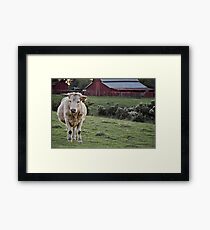 44 Minus two Framed Print
