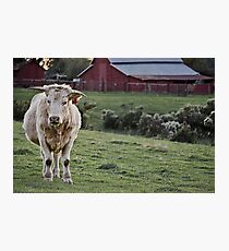 44 Minus two Photographic Print