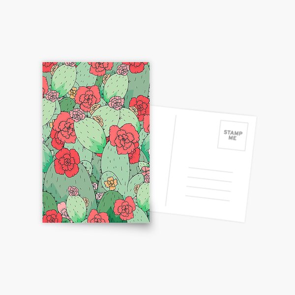 Cactus Flowers Postcard