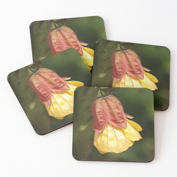 Item preview, Chinese lantern Magic Lantern  designed and sold by Joy Watson - Natural Light Photography .
