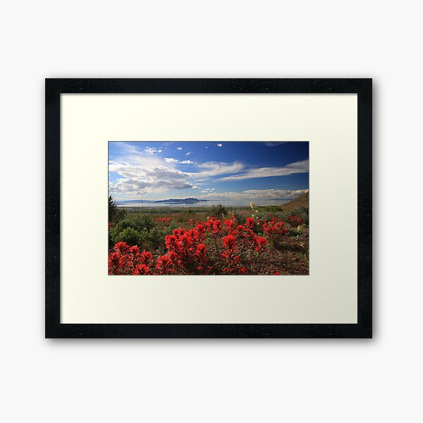 Indian Paint Framed Art Print