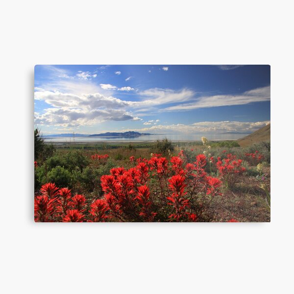 Indian Paint Metal Print