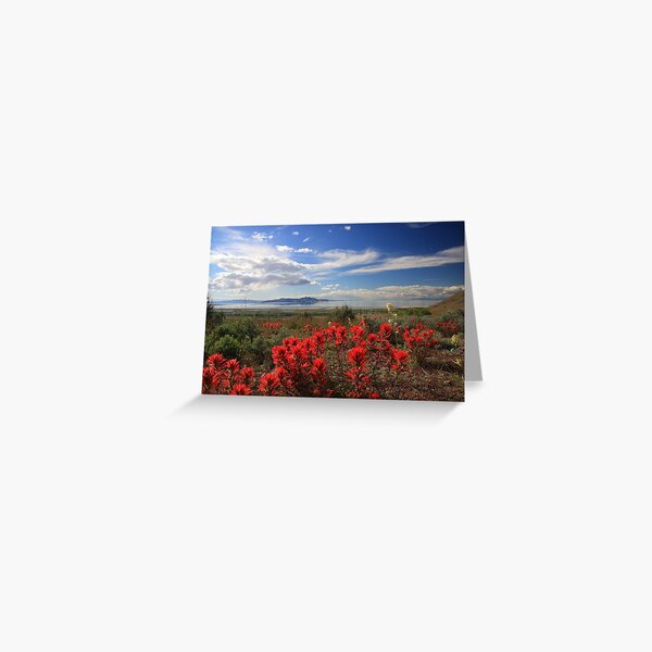 Indian Paint Greeting Card