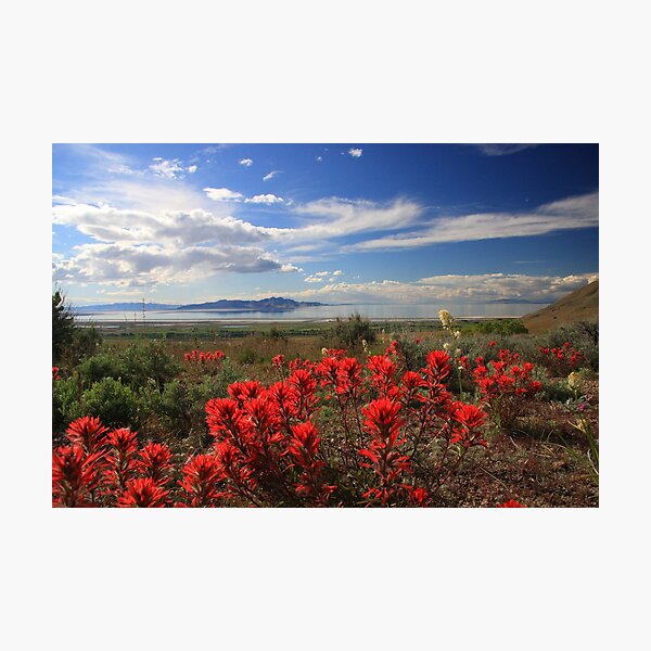 Indian Paint Photographic Print