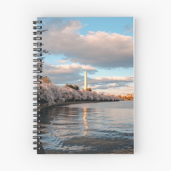 Item preview, Washington Monument 10 designed and sold by igjustin print shop.