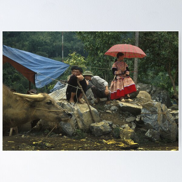 Item preview, Bac Ha Market, Viet Nam designed and sold by docophoto.