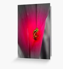 In the pink 1 Greeting Card