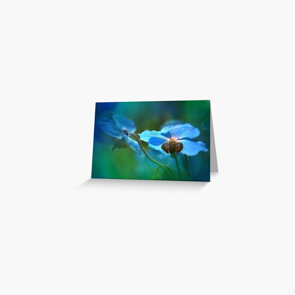 Blue Poppy Greeting Card