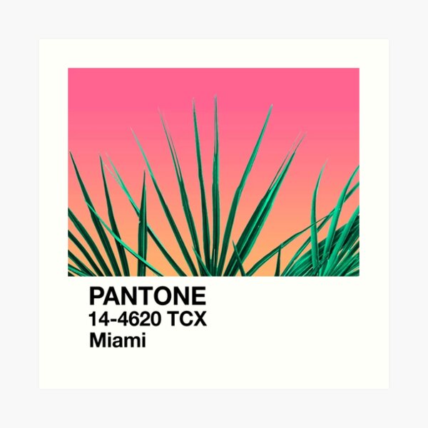 PANTONE / Miami Art Print