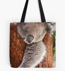 Koala Whiteman Park Tote Bag