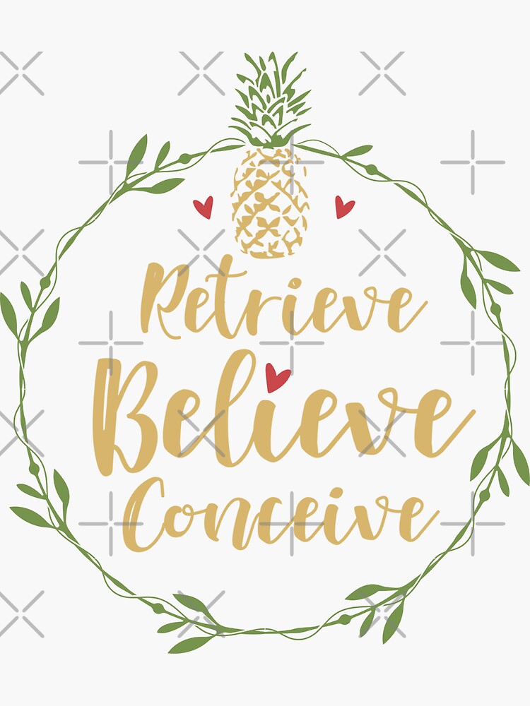 "Retrieve Believe Conceive IVF Pineapple Inspirational Quote Cute " Sticker for Sale by alenaz