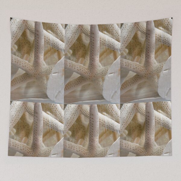 Item preview, Starfish and Sand Dollars designed and sold by 2CrabbySisters.