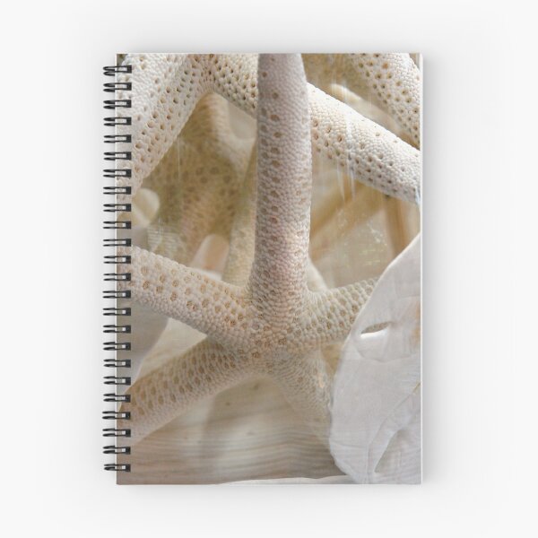 Item preview, Starfish and Sand Dollars designed and sold by 2CrabbySisters.