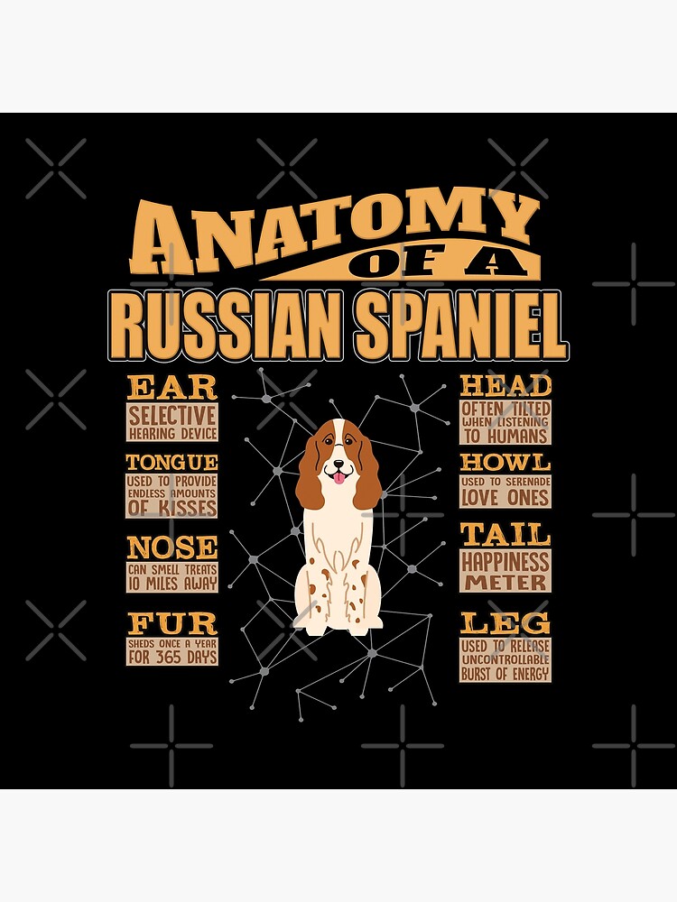 Anatomy Of A Russian Spaniel - Funny Russian Spaniel Design by dog-gifts