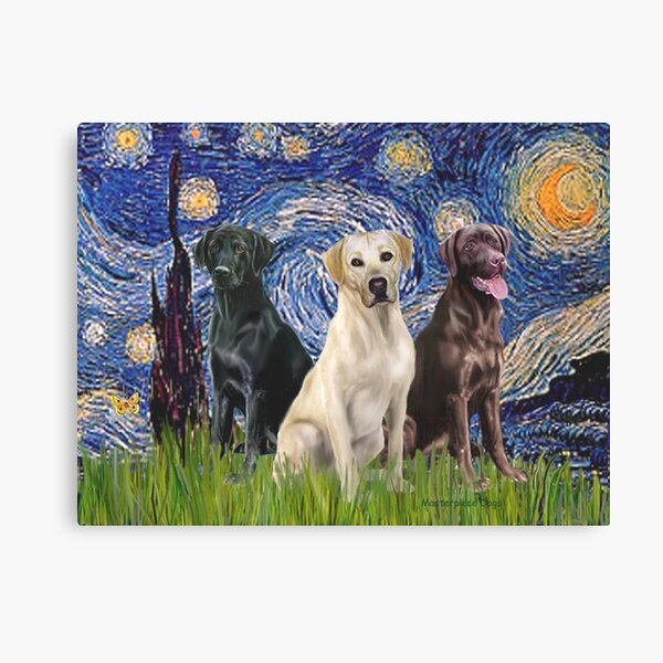 Starry Night - Three Labrador Retrievers (Black, Chocolate, Yellow) Canvas Print