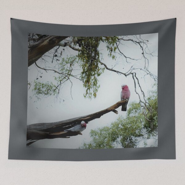 Item preview, Two Galahs designed and sold by imaginethis.