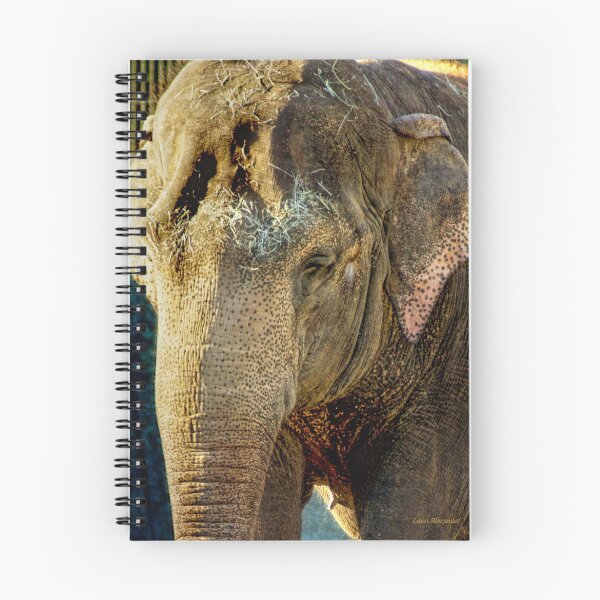 Aperçu de l'œuvre l'éléphant créée et vendue par tinymystic.