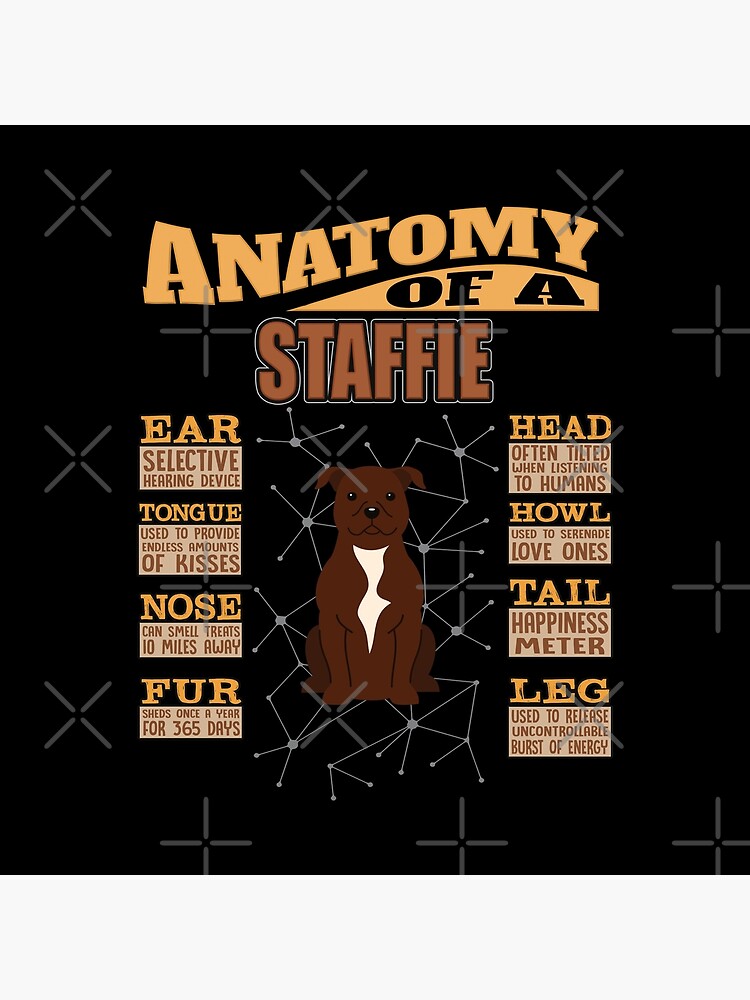 Anatomy Of A Staffordshire Bull Terrier - Funny Staffordshire Bull Terrier Design by dog-gifts