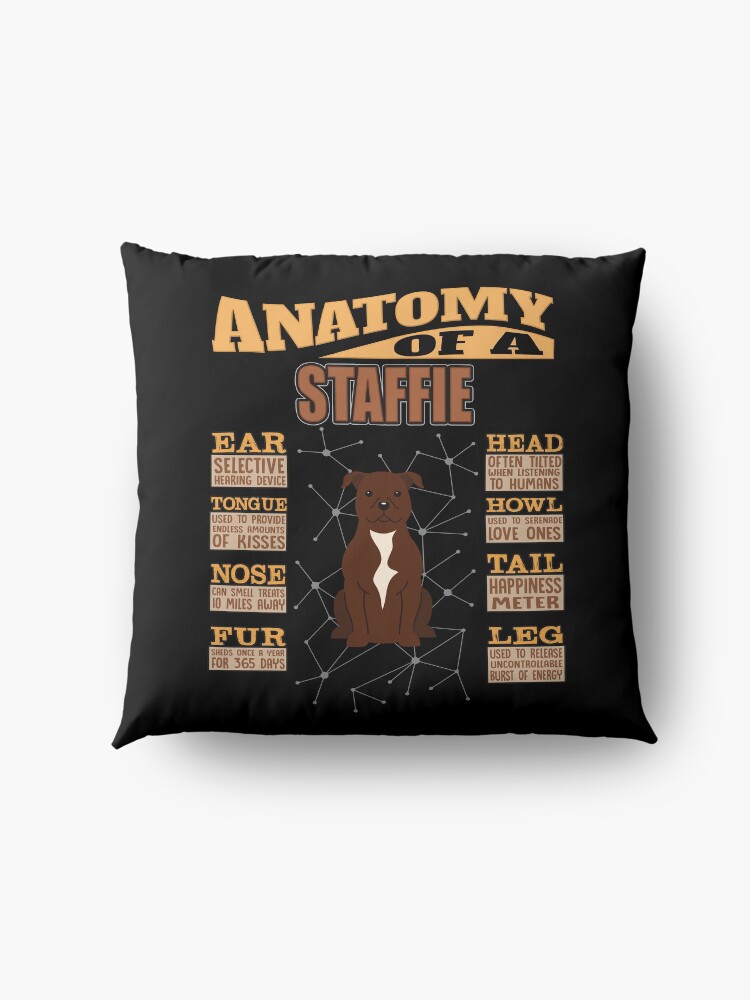 Alternate view of Anatomy Of A Staffordshire Bull Terrier - Funny Staffordshire Bull Terrier Design Floor Pillow