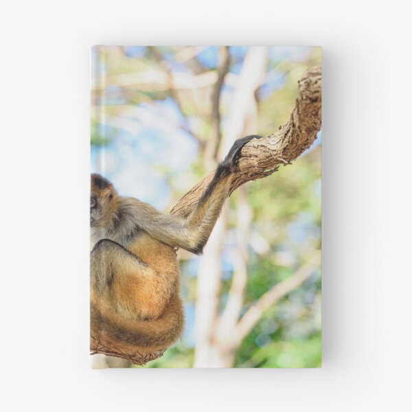 Item preview, Spider Monkey designed and sold by Anna Se.