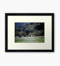 Grazing at the Edge Framed Print