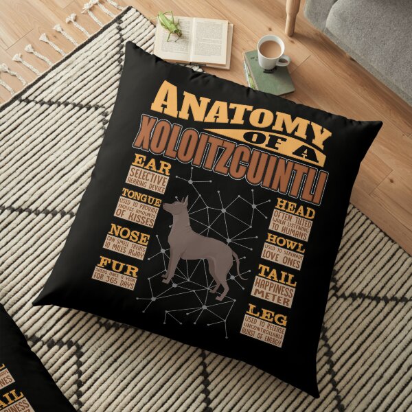 Anatomy Of A Xoloitzcuintli - Funny Xoloitzcuintli Design Floor Pillow