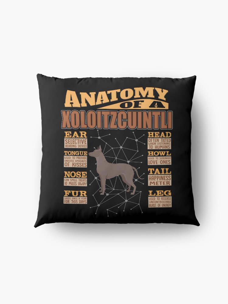 Alternate view of Anatomy Of A Xoloitzcuintli - Funny Xoloitzcuintli Design Floor Pillow