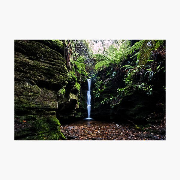 Item preview, Secret Falls,Cascade,Tasmania  designed and sold by WobblyWombat.
