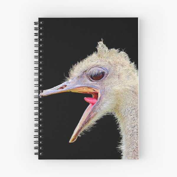 Item preview, Crying ostrich designed and sold by leobrix.