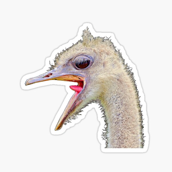 Crying ostrich Sticker