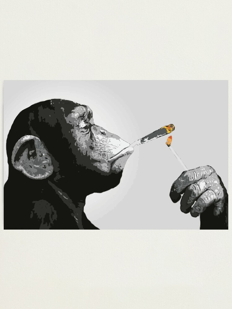 Banksy Steez Chimp Monkey Smoking Joint