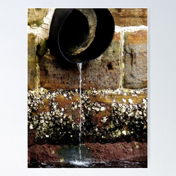 Item preview, untitled designed and sold by missjess.