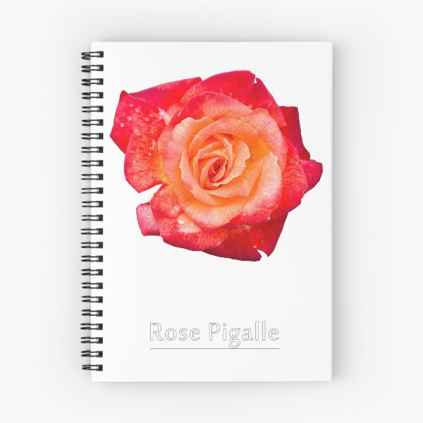 Item preview, Rose Pigalle designed and sold by leobrix.