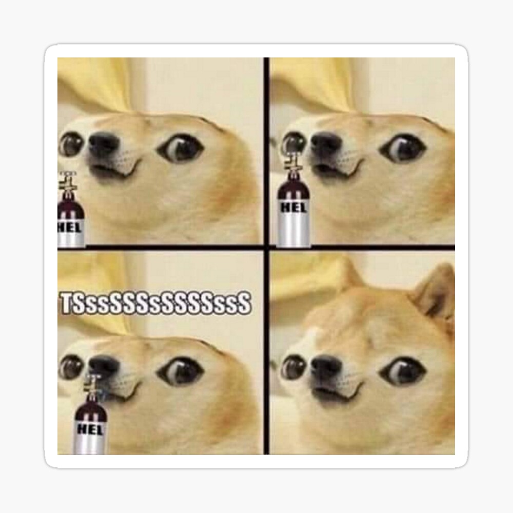 Doge Memes