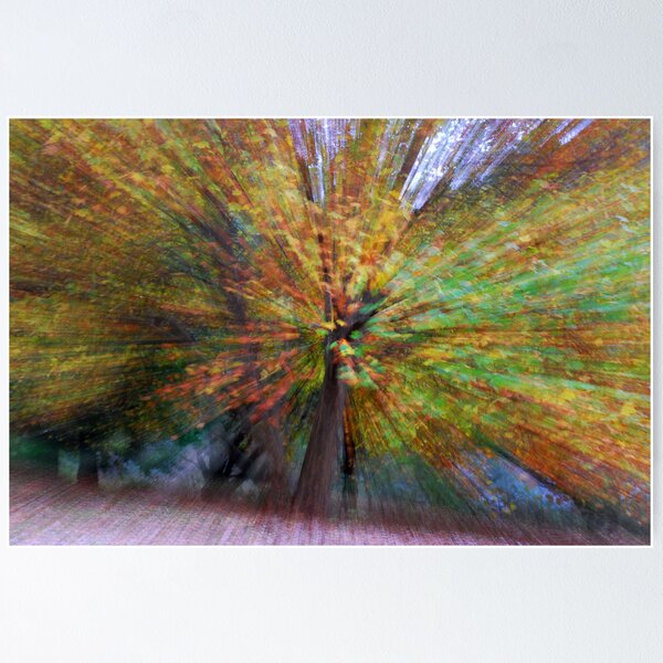 Item preview, Autumn coloured trees zoomed designed and sold by Speedy.