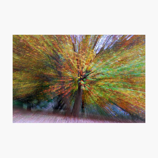 Artikelvorschau, Autumn coloured trees zoomed entworfen und verkauft von Speedy.