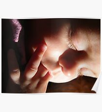 tranquil Poster