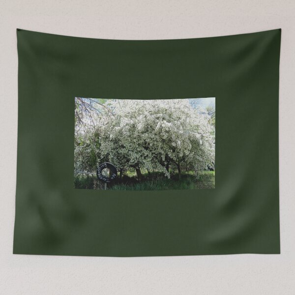 Item preview, No Trespassing...Caldwell, Idaho designed and sold by Diane Arndt.
