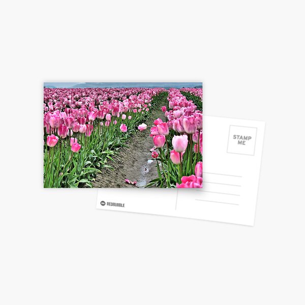 Item preview, Fields of Pink designed and sold by Kathy Yates.