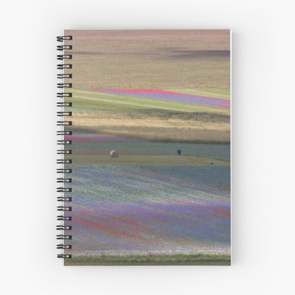 Item preview, The flowering of Castelluccio designed and sold by pietrofoto.