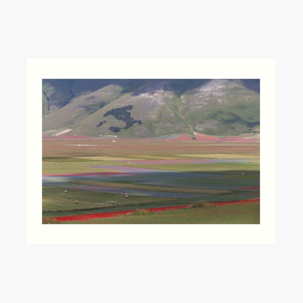 The flowering of Castelluccio Art Print