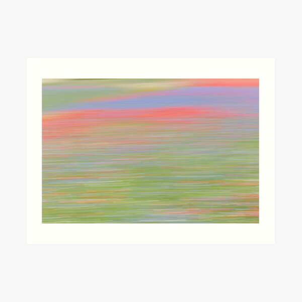 The flowering of Castelluccio Art Print