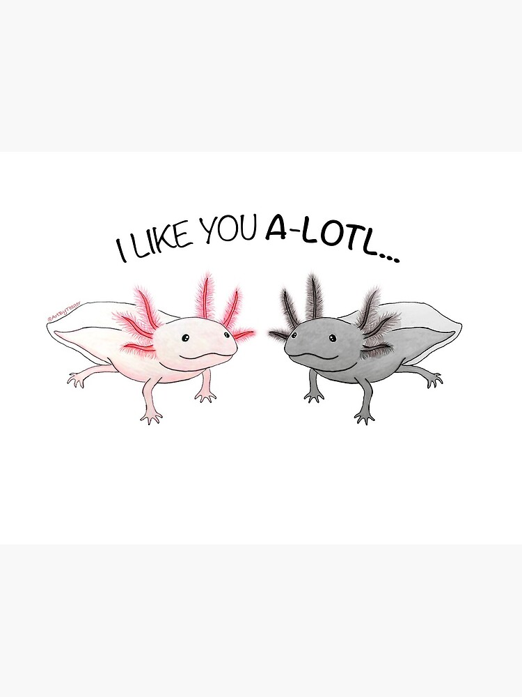 Axolotl Cute I Like You A Lotl Greeting Card By Laurateeger Redbubble