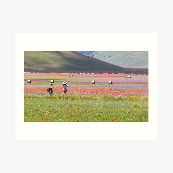 The flowering of castelluccio Art Print