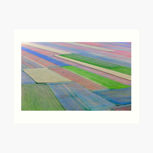 The flowering of Castelluccio Art Print