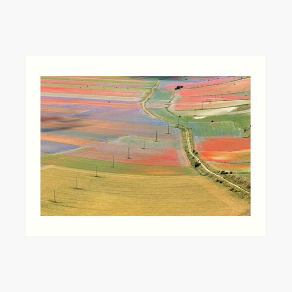 The flowering of Castelluccio Art Print
