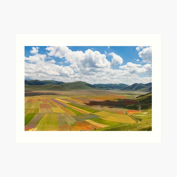 The flowering of Castelliuccio Art Print