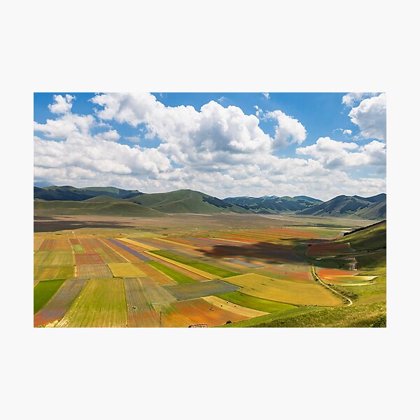 The flowering of Castelliuccio Photographic Print