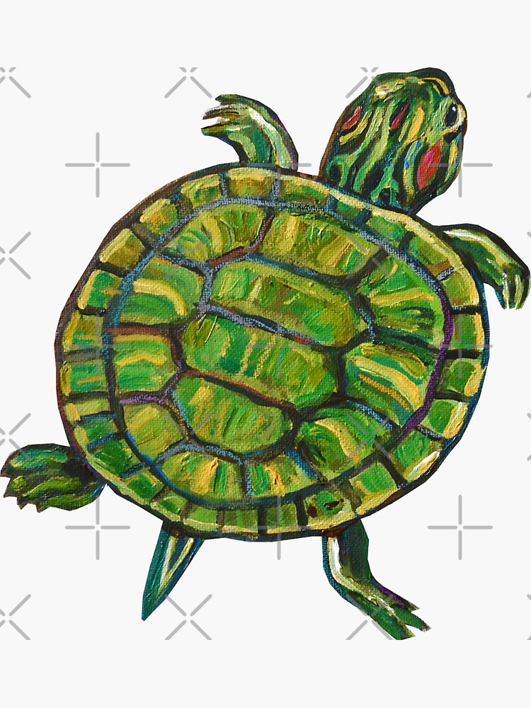 Turtle power. Подушка зеленая черепаха.